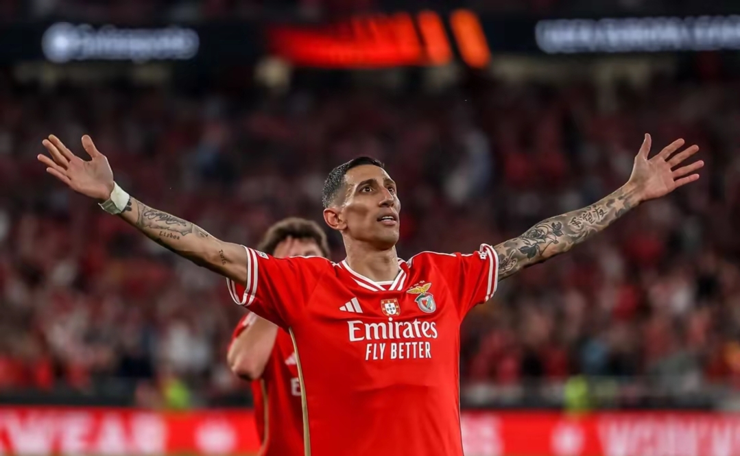 集结日德国杯传出新动向;本菲卡造点机会;管理层表态——震撼外界;年轻球员得到机会(泽连斯基在第16届慕尼黑讲话全文) 集结日德国杯传出新动向;本菲卡造点机会;管理层表态——震撼外界;年轻球员得到机会(泽连斯基在第16届慕尼黑讲话全文)