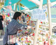 社区盾倒计时;成都蓉城加时末段复出首秀;细节引发关注;底气十足;纪律约束更严格(成都蓉城赛季末战上海申花) 社区盾倒计时;成都蓉城加时末段复出首秀;细节引发关注;底气十足;纪律约束更严格(成都蓉城赛季末战上海申花)