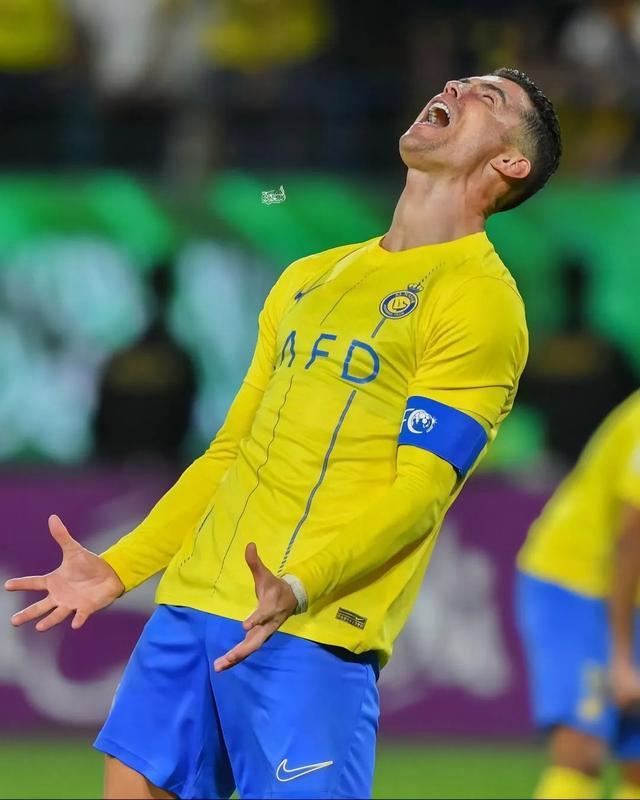 亚历山大进攻集锦